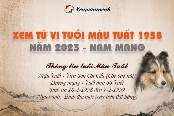 Tử vi tuổi Mậu Tuất nam mạng năm 2023 