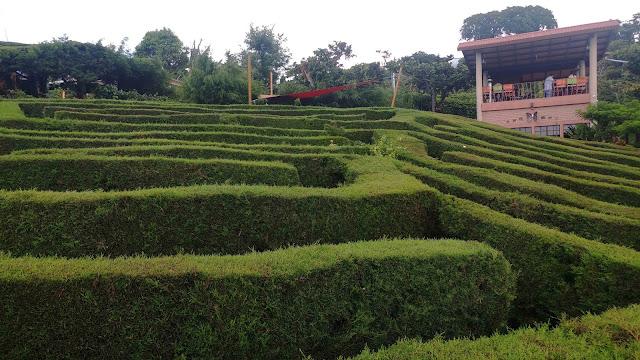 Labyrinth of Cafe Albania