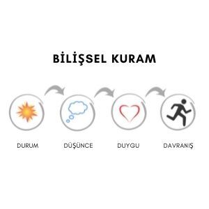 bilişsel teori resimli anlatım