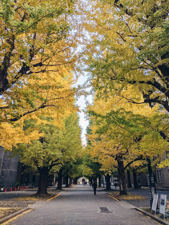 tokyo university visit