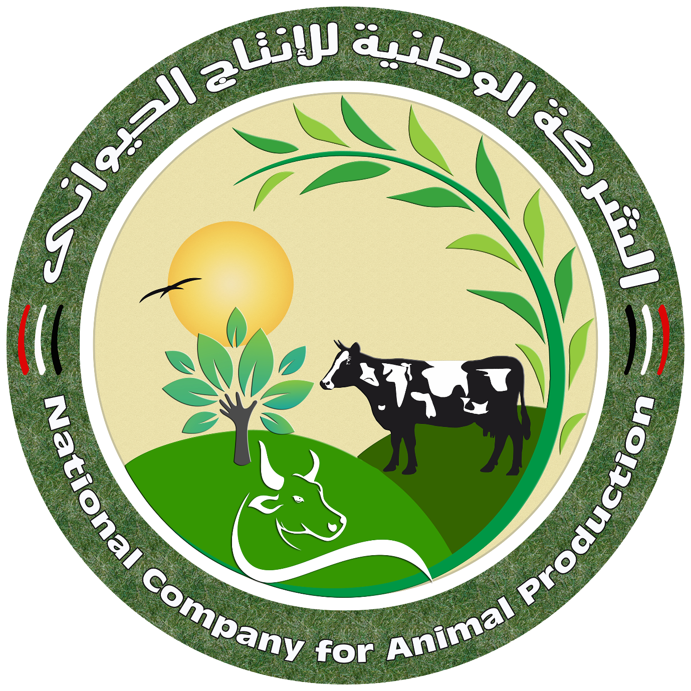 الشركة الوطنية للإنتاج الحيواني