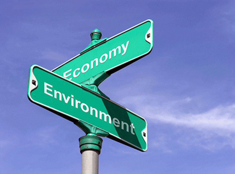 Green business obstacles