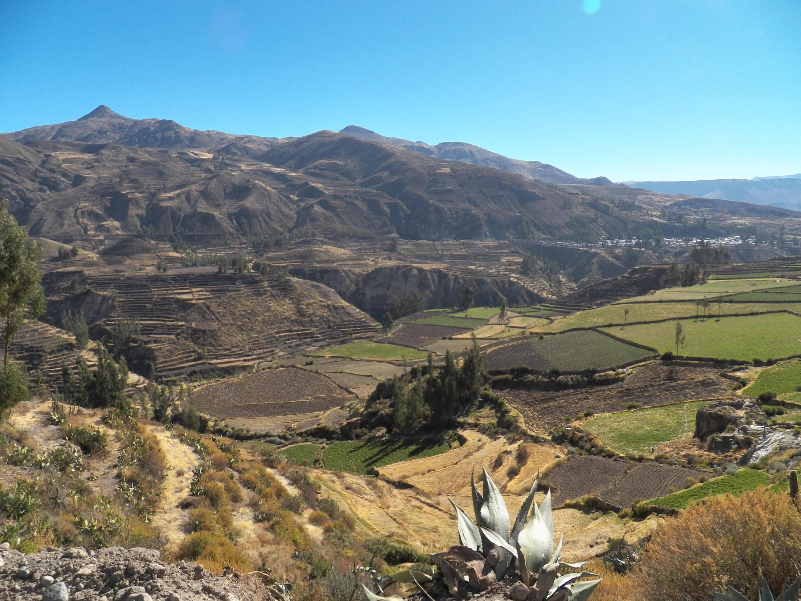 Colca Canyon, Peru