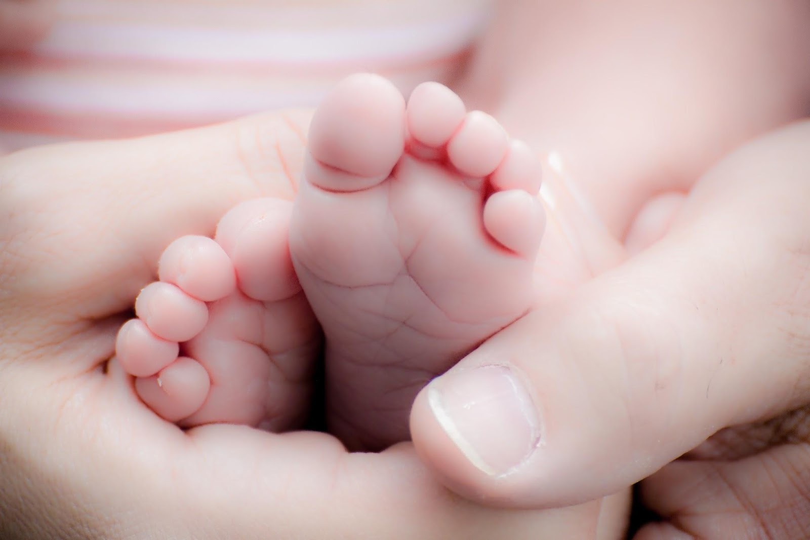 Baby Feet, Mom Holding Babes Feet. Baby Toes 