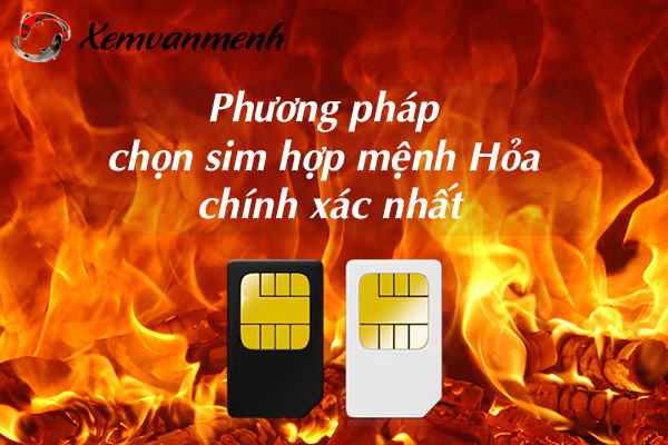 sim-phong-thuy-hop-menh-hoa