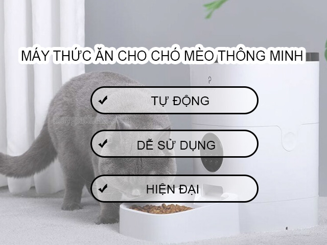 Lý do nhiều người lựa chọn máy thức ăn cho chó mèo thông minh