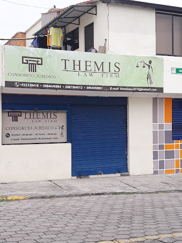 THEMIS LAW FIRM