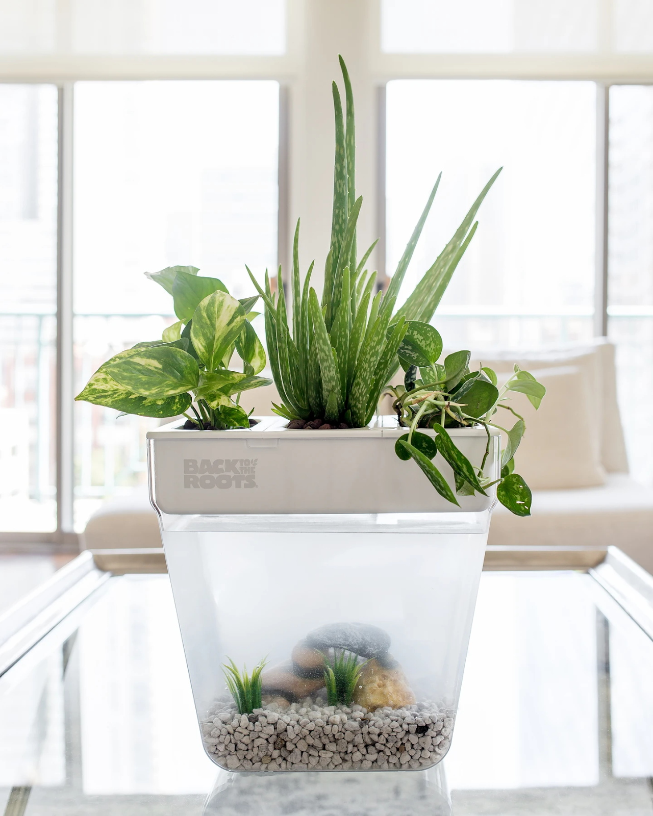 Terrarium Plants: How To Create Your Own Low-Maintenance Garden