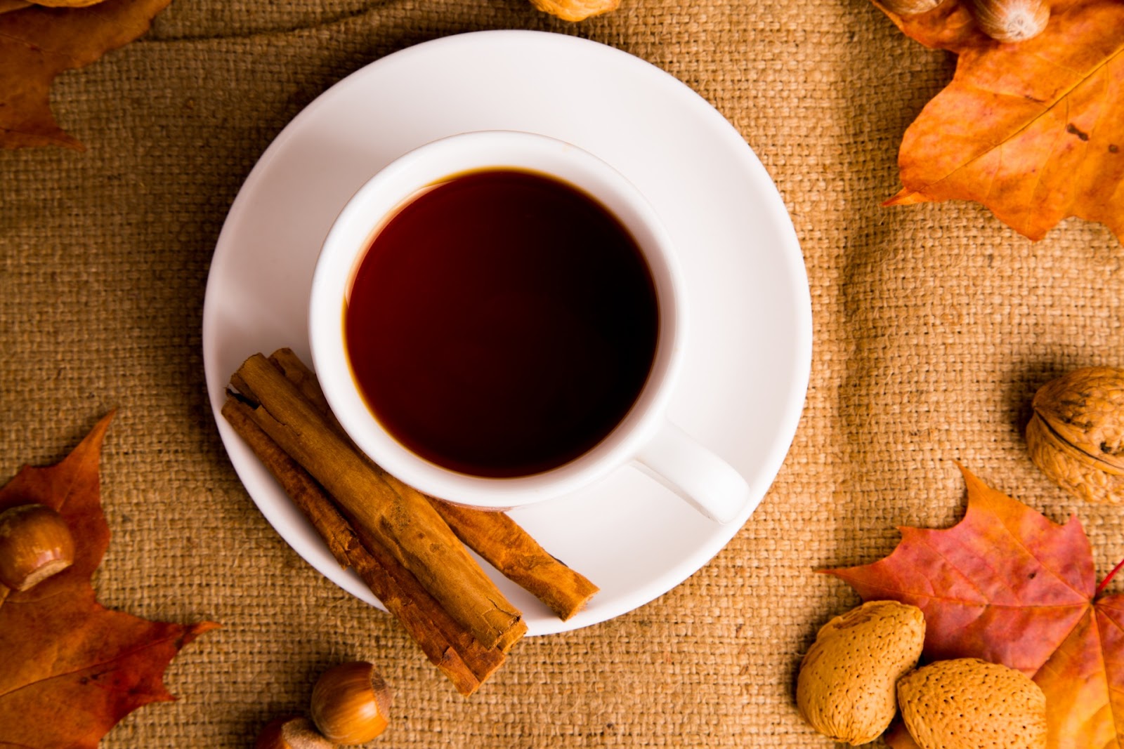 Tea And Autumn Decorations Free Stock Photo - Public Domain Pictures