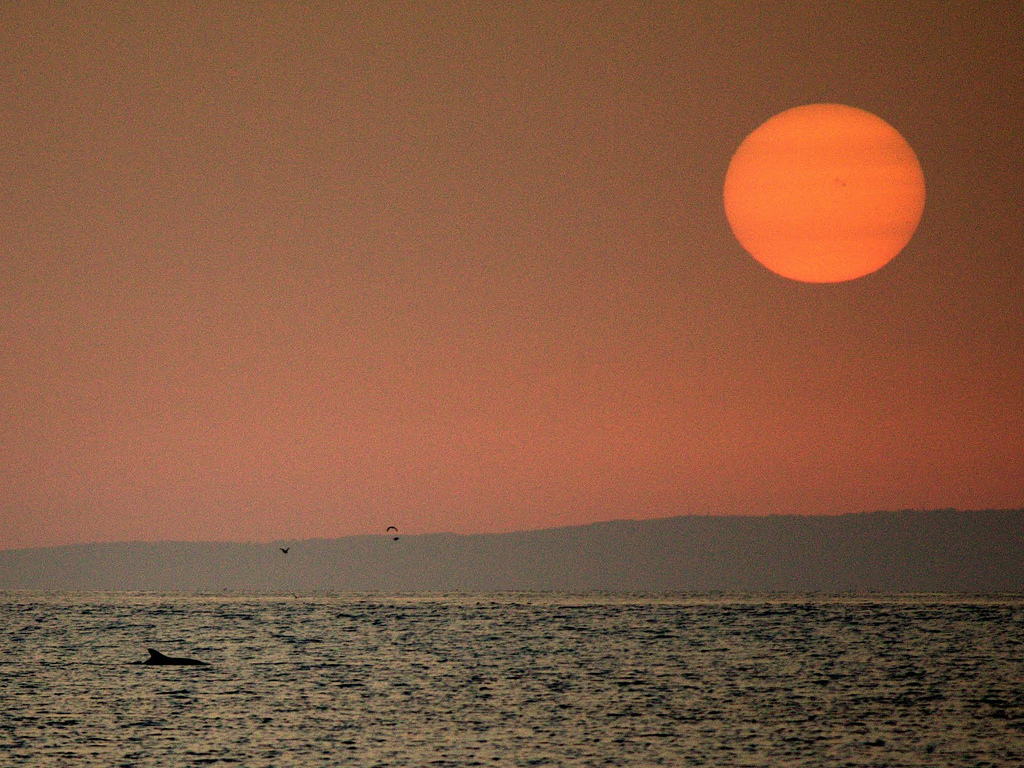 Big orange sun over ocean.