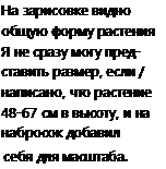 D:\0 wd yedek\acr yedek\1 film indirme\dnevnik_hudozhnika_naturalista_dosyalar\image059.png