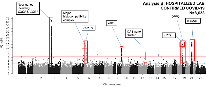 A Manhattan plot showing the GWAS results for COVID-19 Severity in 8,638 hospitalized COVID-19 cases and 1.7 million controls