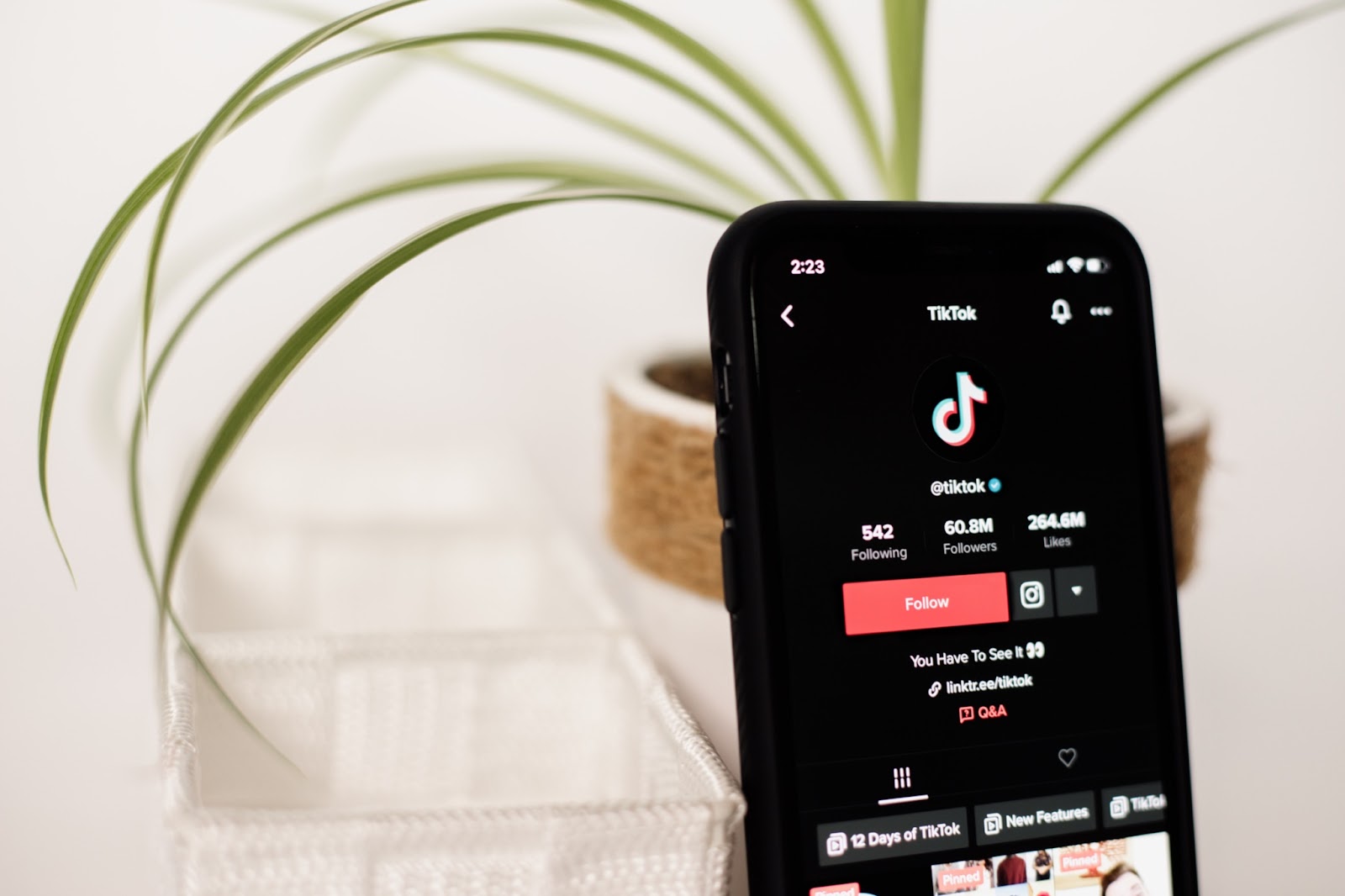 What Is TikTok Now and How Does It Compare to BeReal?