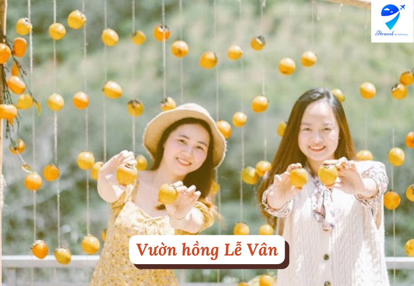 Vườn hồng Lễ Vân