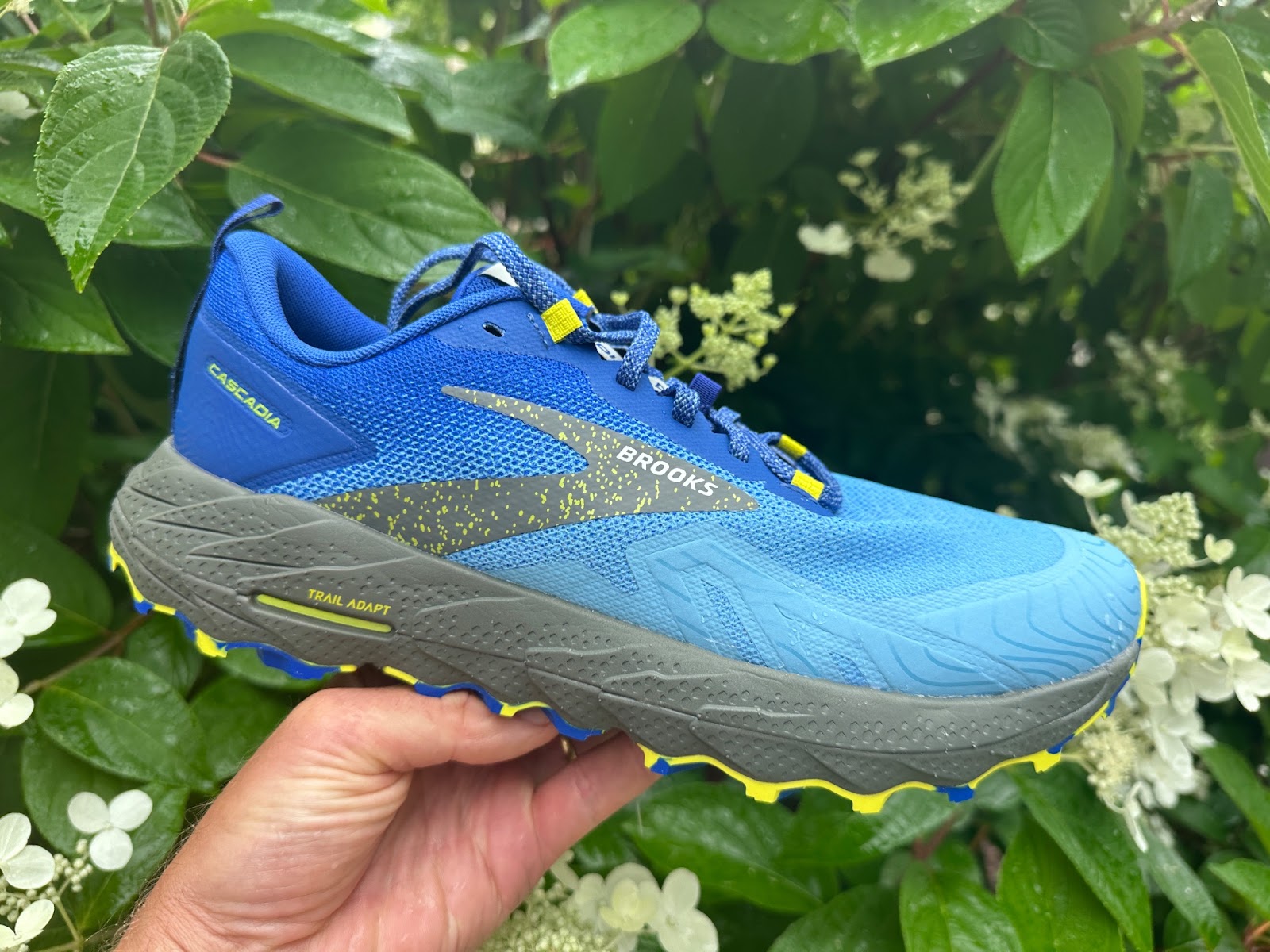 Road Trail Run: Brooks Cascadia 17 Multi Tester Review: Adapts to ...