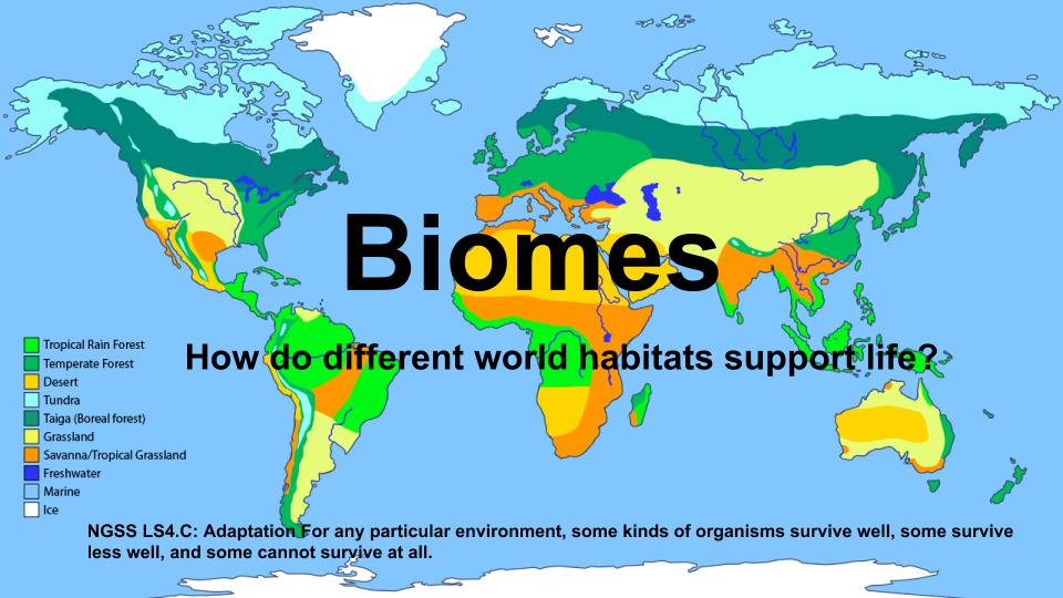 Biomes HyperDoc.jpg