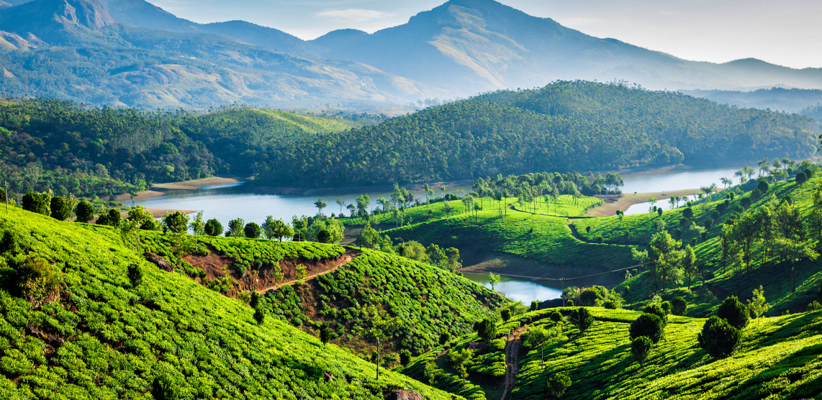 Munnar best places for honeymoon in south india