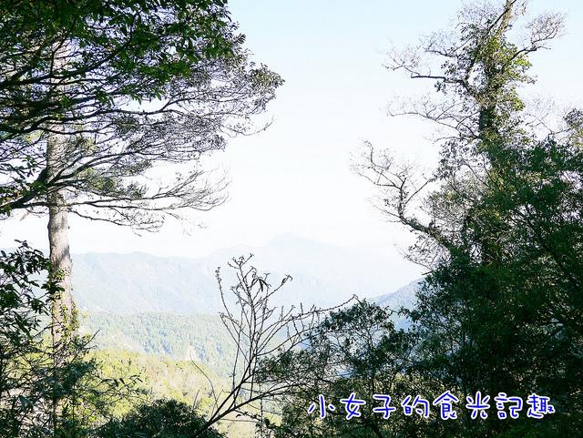 P1040198