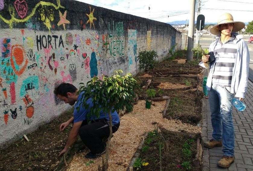 Curitiba aprova o cultivo de hortas comunitárias nas calçadas da cidade