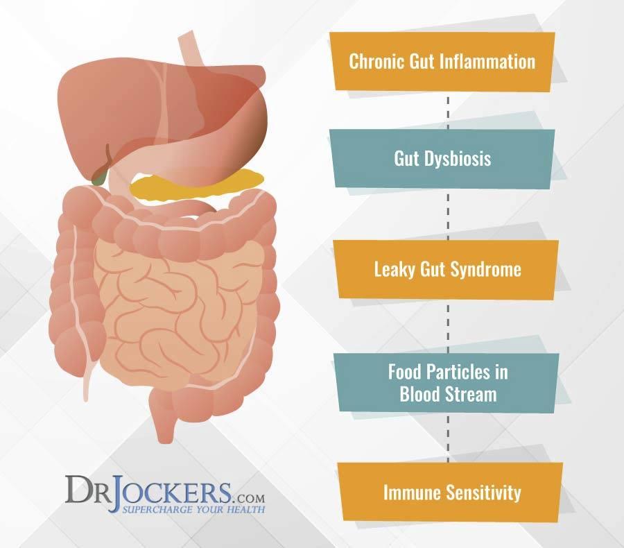 Healing Leaky Gut, Healing Leaky Gut with Fasting and Liquid Nutrition