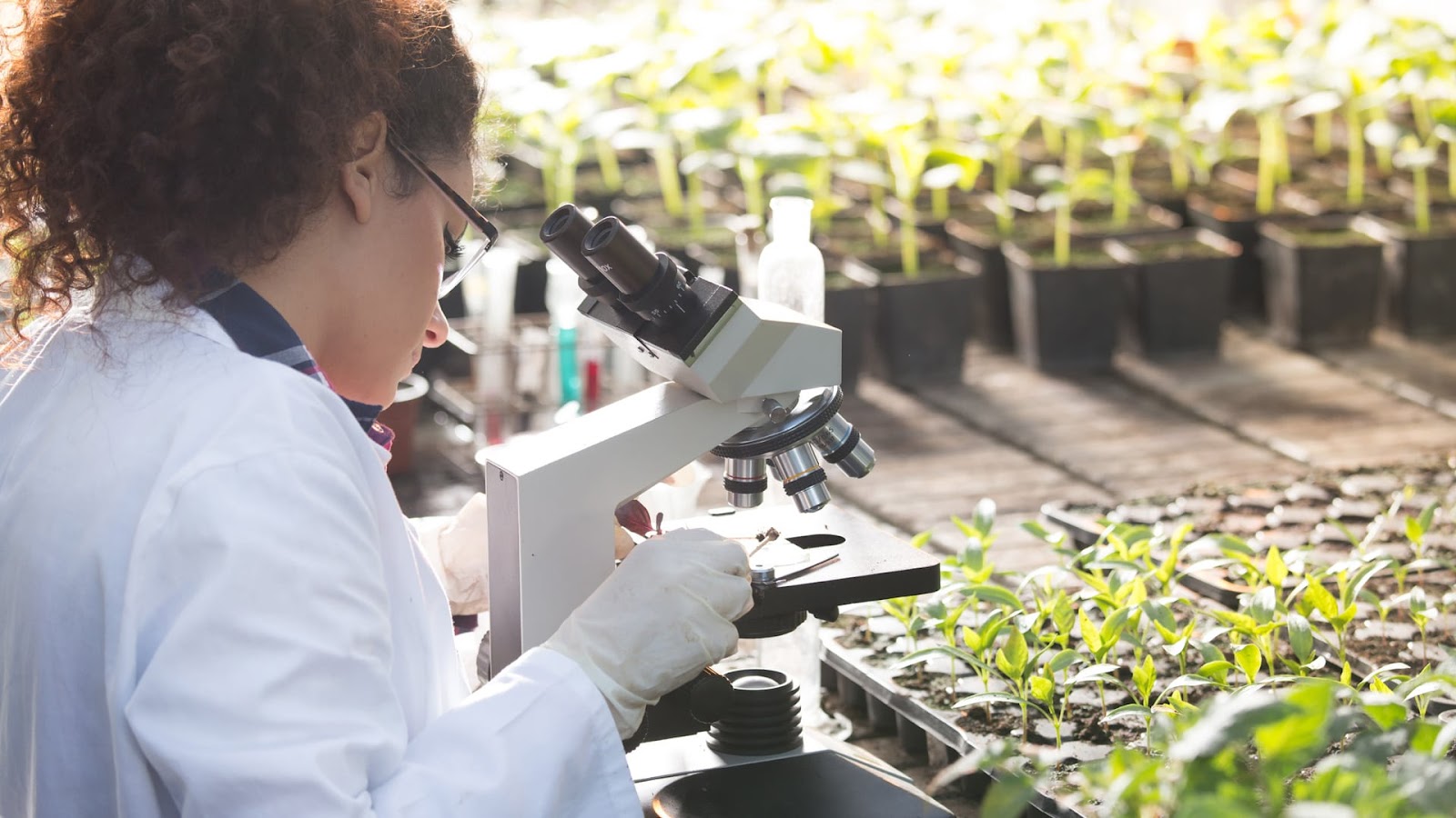 Scientist at work best job for taurus