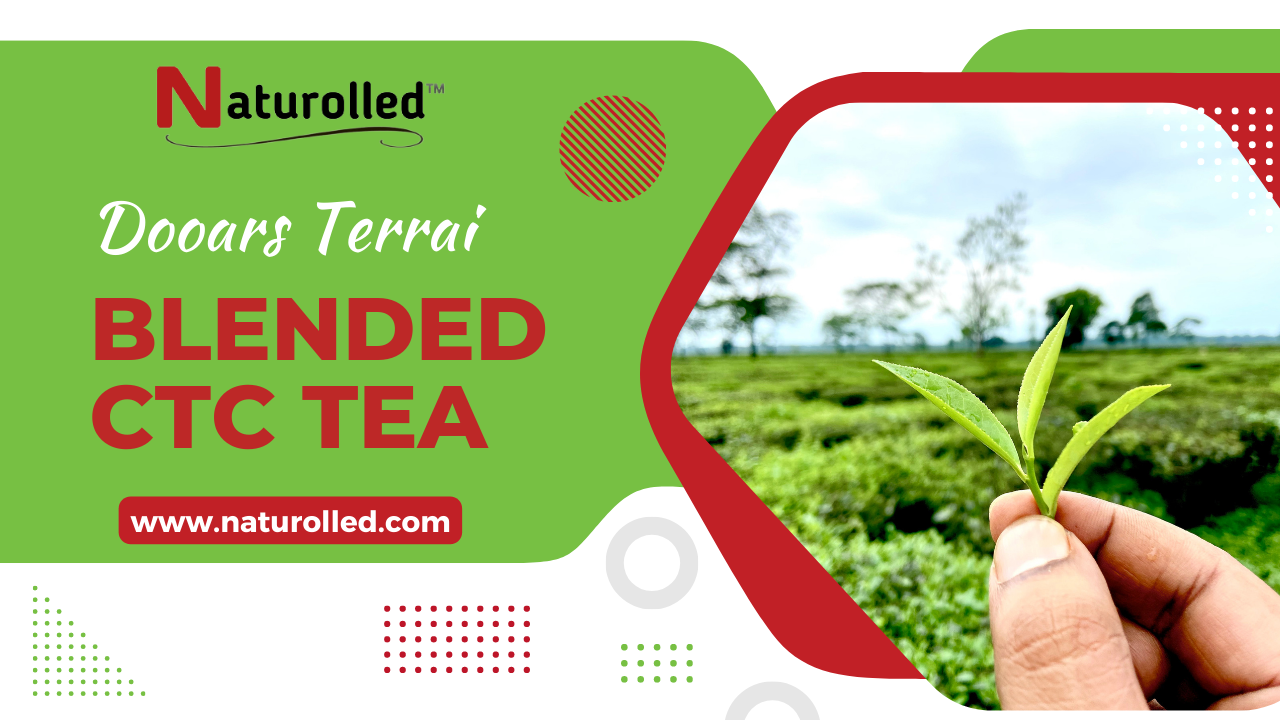 Dooars Terrai CTC Tea