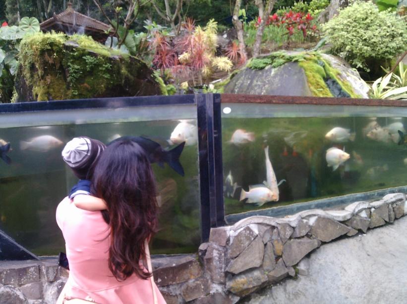 G:\malang\IMG20161008111031.jpg