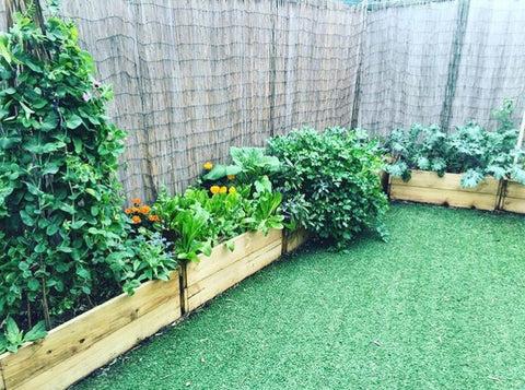 Growing Food in Small Spaces – Urban Veggie Patch Market