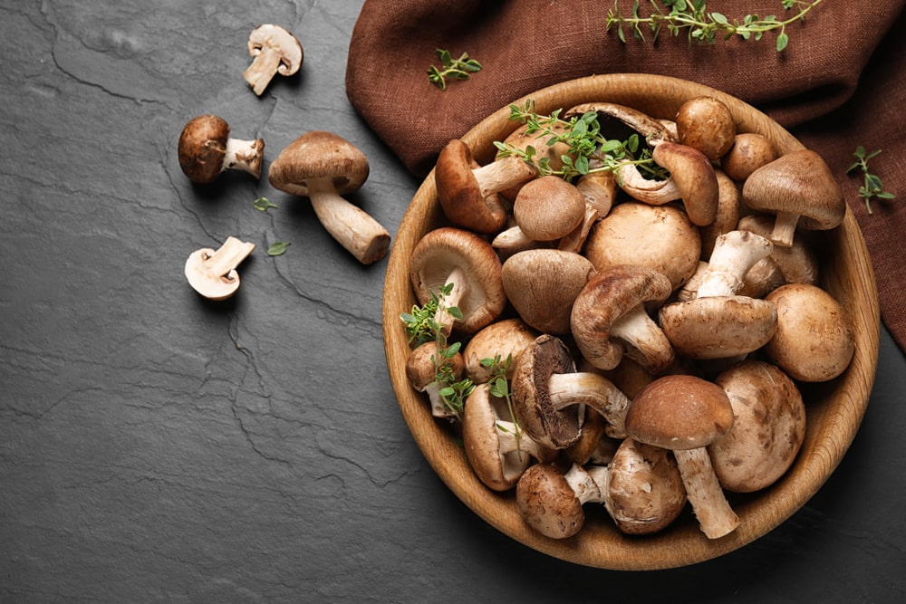 Nutritional Value and Benefits of Mushrooms:
