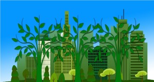 environmental-protection-886669_1920