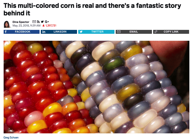 Ejemplo de publicidad nativa: maíz de colores en Business Insider