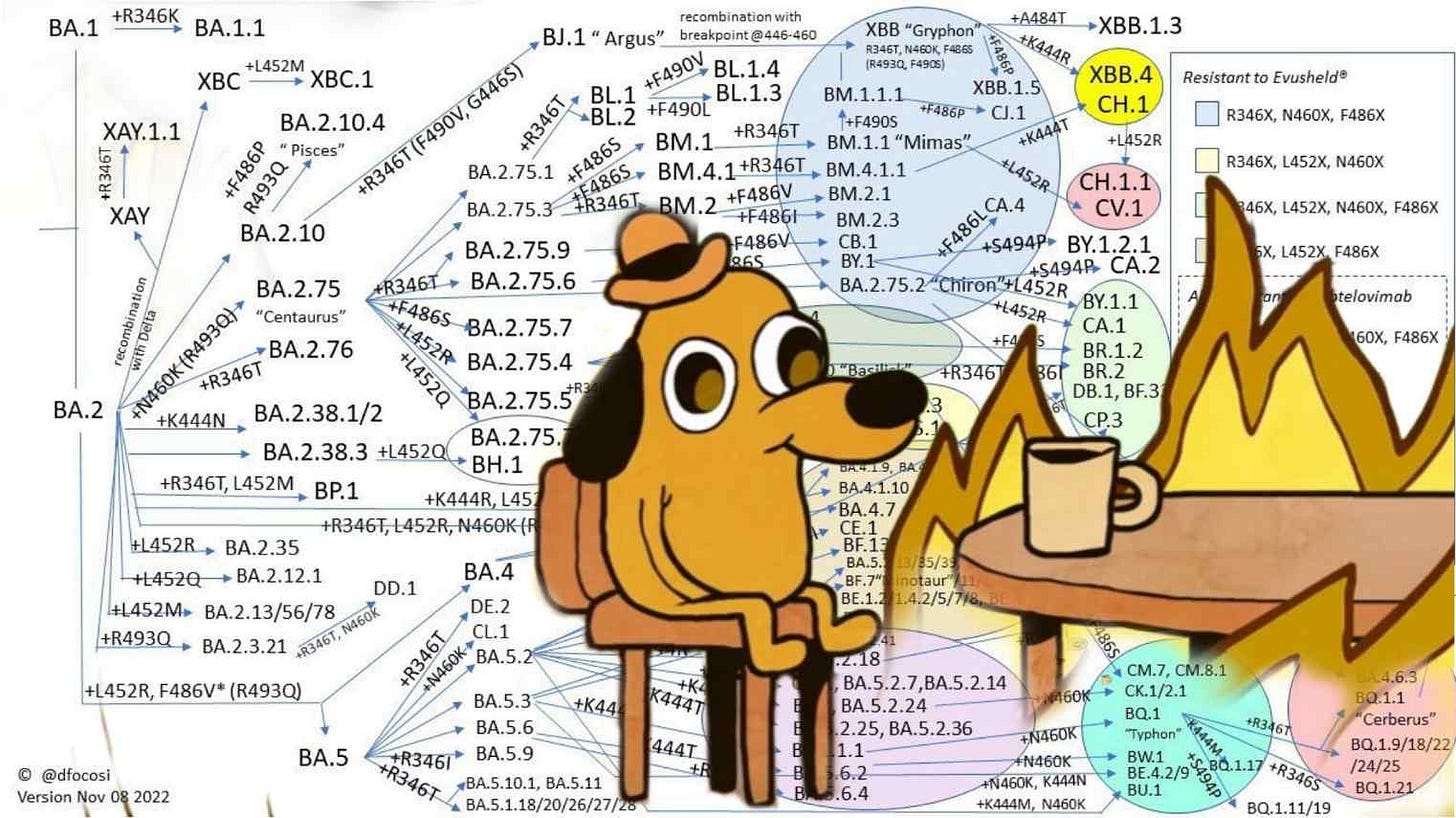 from @ar11177117 on twitter, Meme: “This is fine dog” removed from his house, but remains at his table enjoying coffee. Flames surround the table. He is superimposed over an evolutionary flow chart starting with SARS-CoV-2 variant BA.2 before fracturing off in to an overwhelming number of branches, sub branches, and iterative branches demonstrating a complexity I don’t know how to convey in alt text. There are too many evolutionary branches.