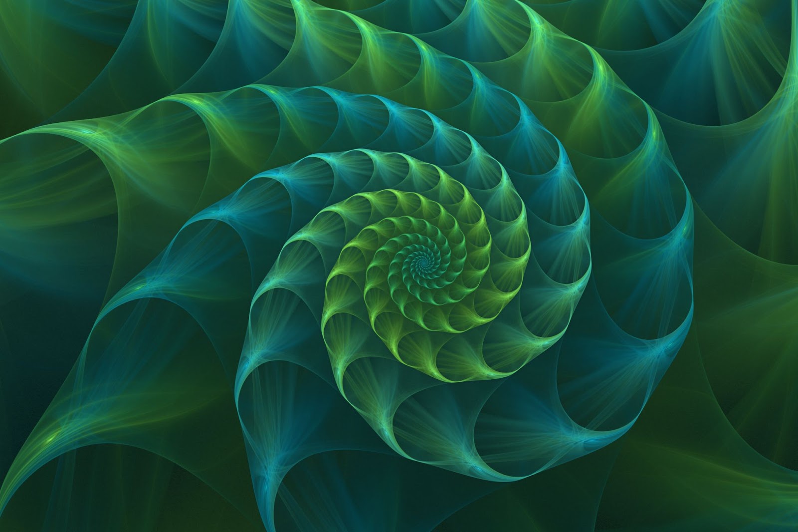 Image of a fractal.