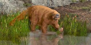 Image result for the ground sloth