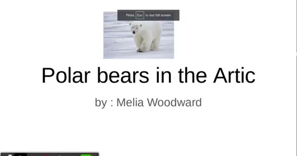 Melia Woodward - Polar Bears in the Artic.mp4