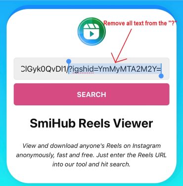 How To Use SmiHub Reels Viewer Tool For New User?-4