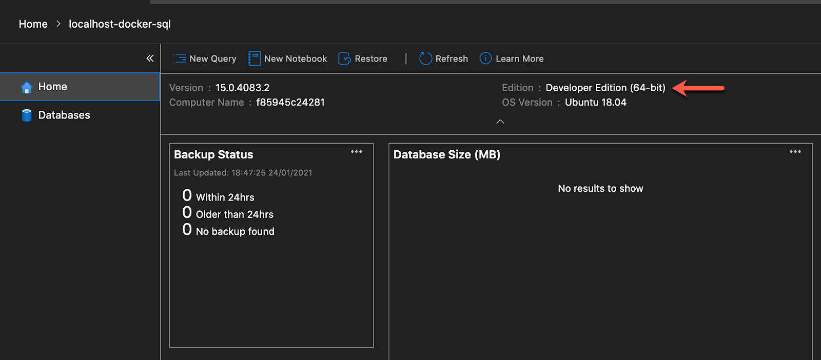 SQL Server Docker: Connect to your SQL Server Docker Instance Step 2