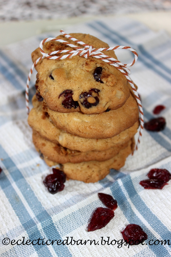 oatmeal craisins and white choc chips.JPG