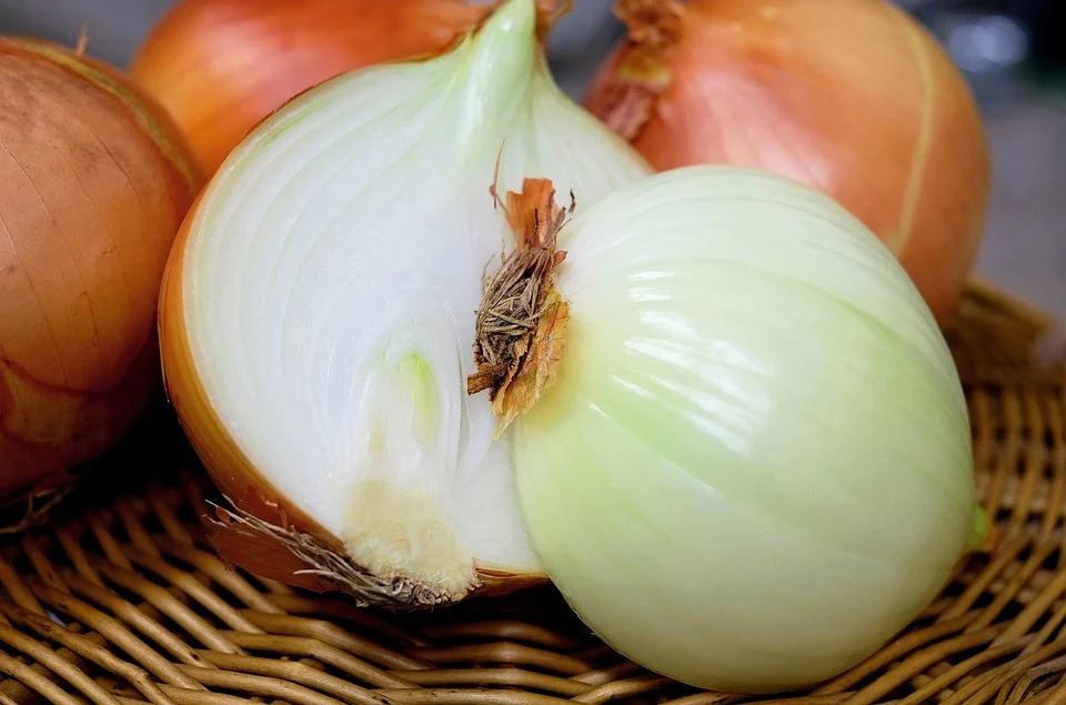 Storing Onions for the long term