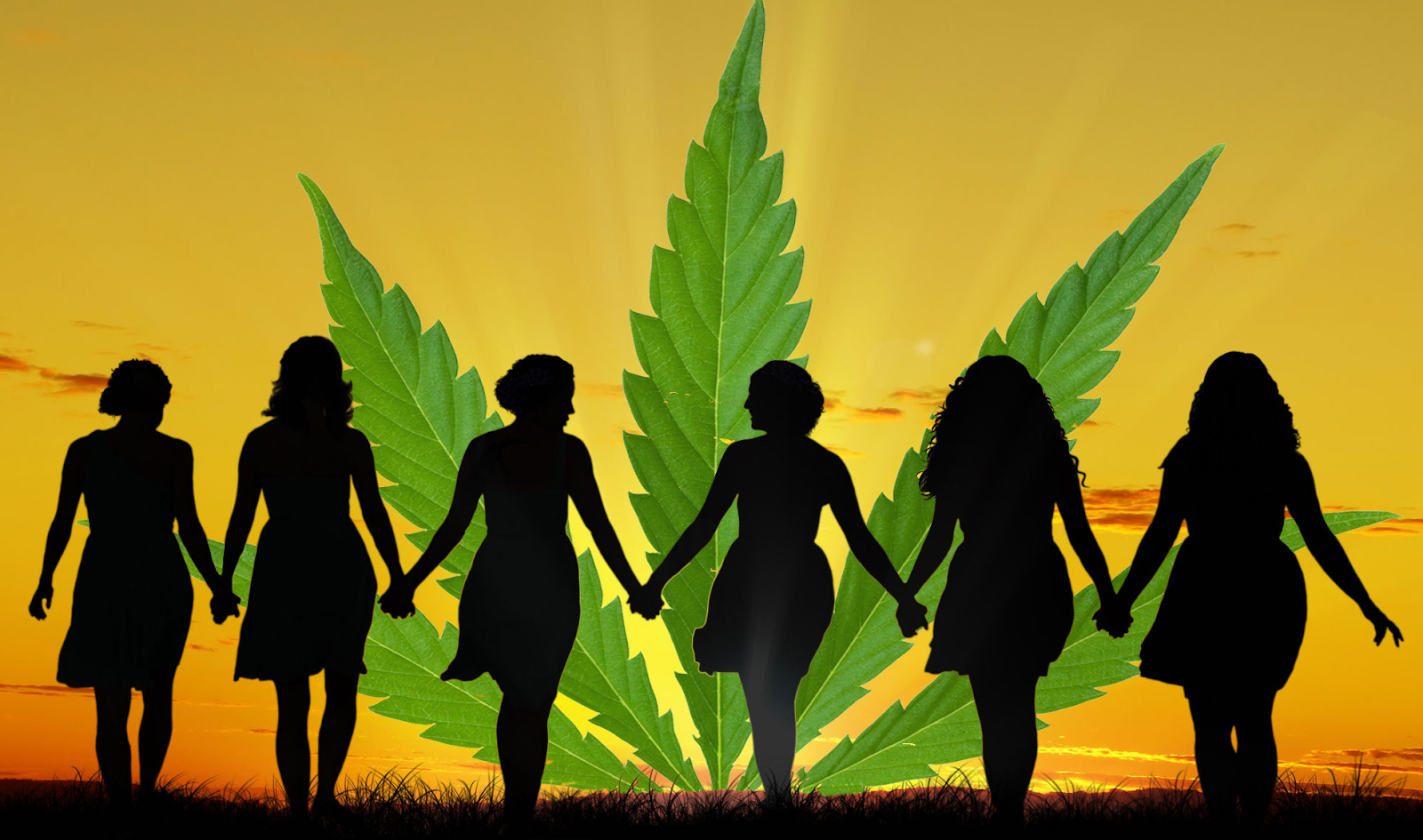 5 Women Making History In Cannabis – Traveling Vegan Cannabis Writer