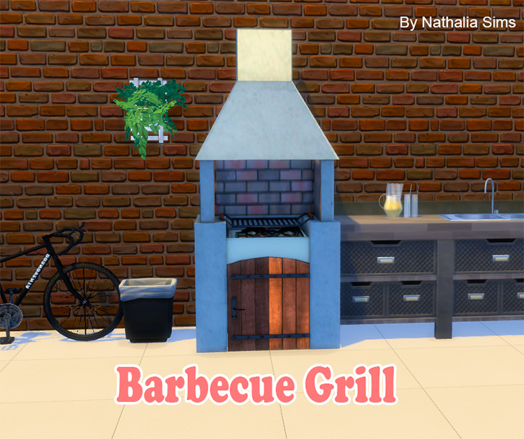 Barbecue Grill Conversion CC