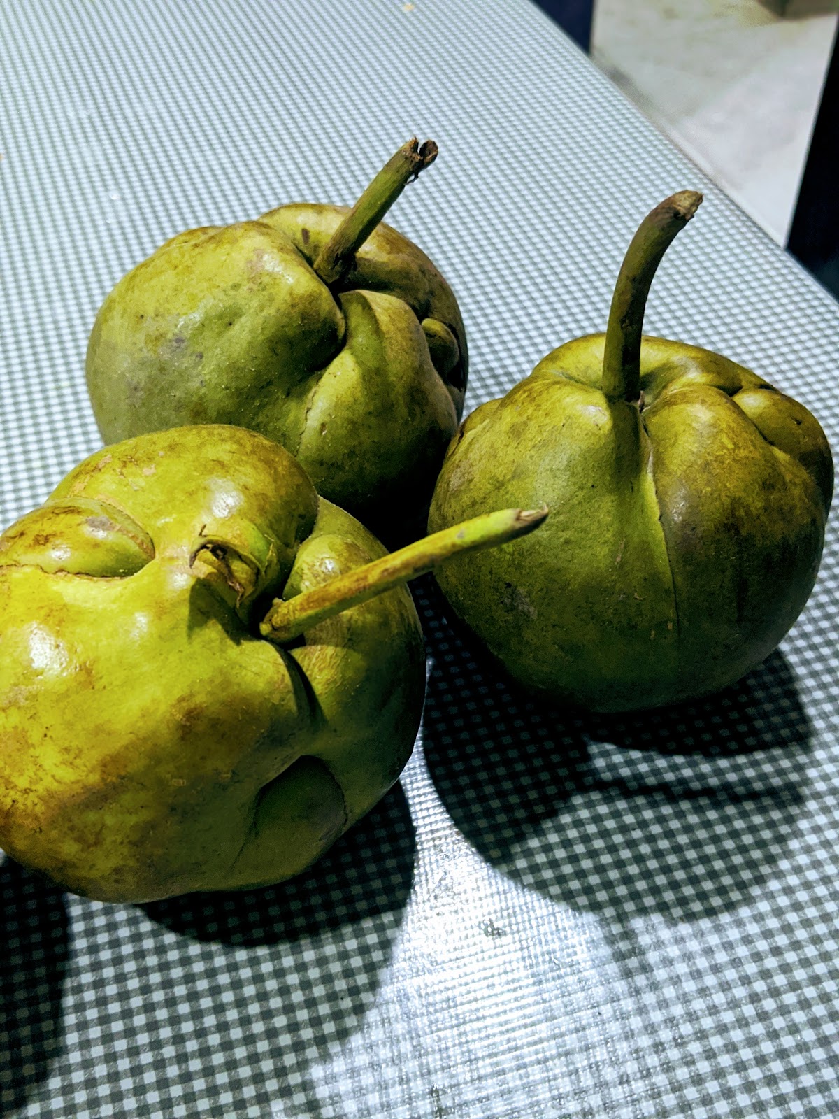 Otenga Super Fruit From Assam Aka The Elephant Apple