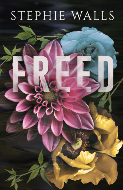 http://sassysavvyfabulous.com/wp-content/uploads/2017/03/REVEAL-COVER-Freed-500x773.png