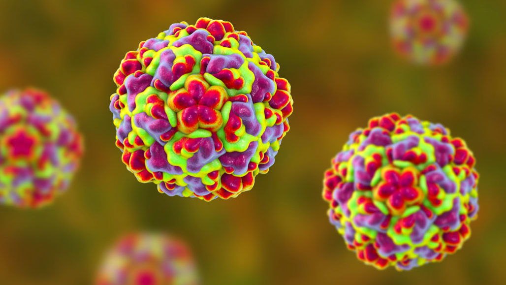 Virus là tác nhân chính gây ra tình trạng cảm lạnh