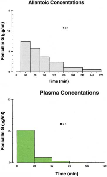 Allantoic and plasma concentrations of potassium penicillin G in a pregnant pony mare.