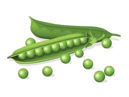 15,244 Green Peas Illustrations & Clip Art - iStock