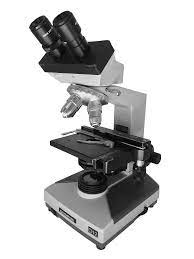 File:Compound Microscope.png - Wikimedia Commons