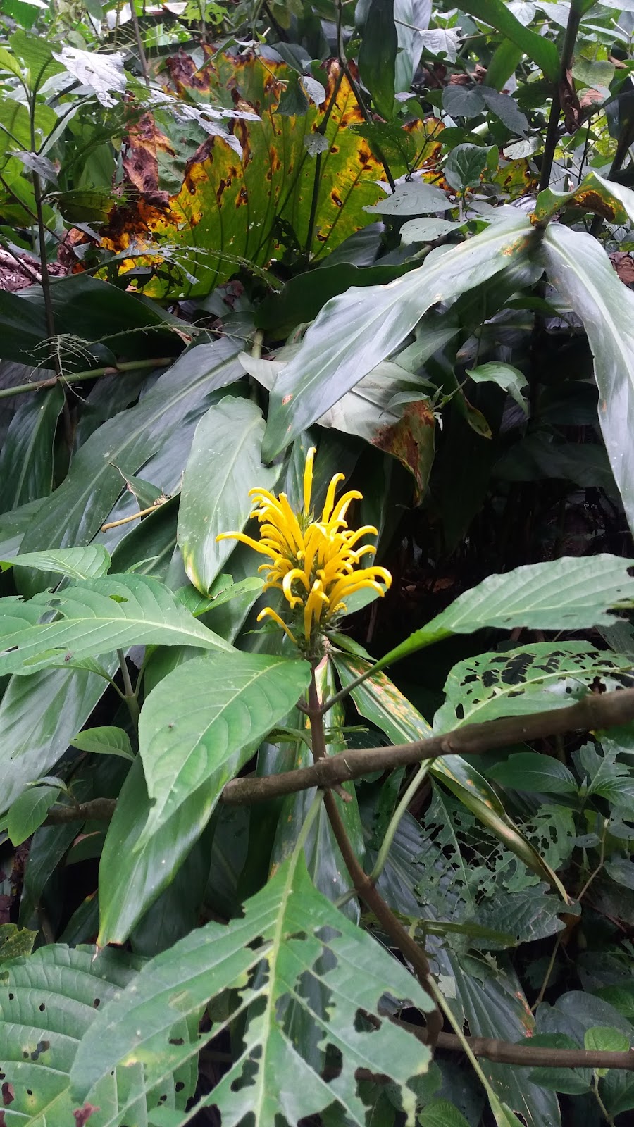 20170913_141313.jpg