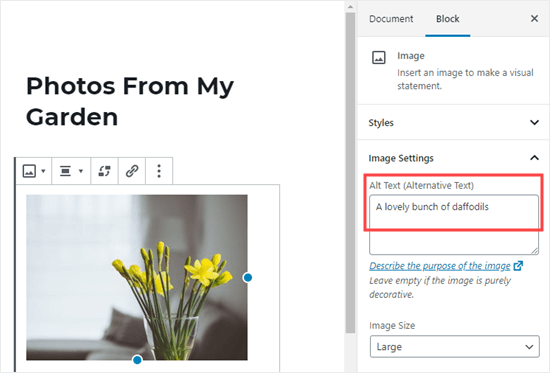Adicionando texto alternativo a uma imagem no editor de blocos do WordPress