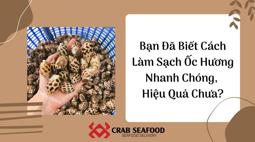 Cách Làm Sạch Ốc Hương Nhanh Chóng, Hiệu Quả - Crab Seafood